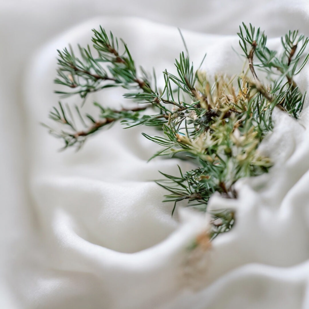 Mossy - Scented Candle (210g)